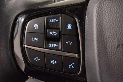 Ford Tourneo Custom Gebrauchtwagen