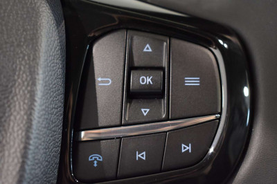 Ford Transit Neuwagen