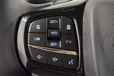 Ford Tourneo Custom Neuwagen