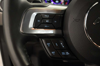 Ford Mustang Tageszulassung