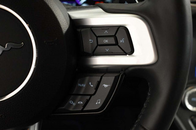 Ford Mustang Tageszulassung