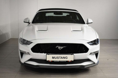 Ford Mustang Tageszulassung