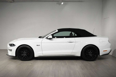 Ford Mustang Tageszulassung