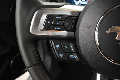 Ford Mustang Gebrauchtwagen