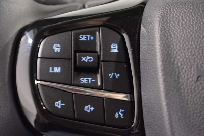 Ford Tourneo Custom Neuwagen