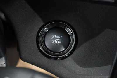 BYD Dolphin Neuwagen