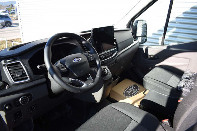 Ford Transit Vorführwagen