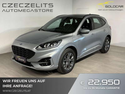 Ford Kuga Gebrauchtwagen