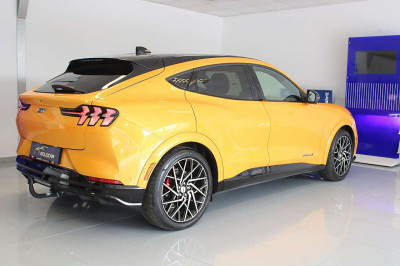 Ford Mustang Mach-E Gebrauchtwagen