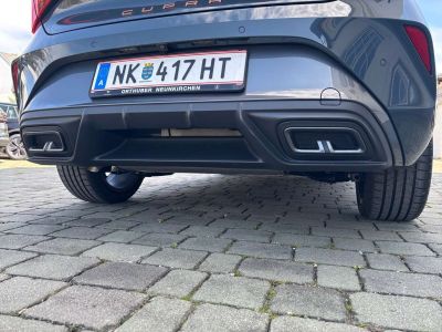 Cupra Leon Gebrauchtwagen
