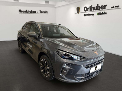 Cupra Terramar Gebrauchtwagen Cupra Terramar Gebrauchtwagen