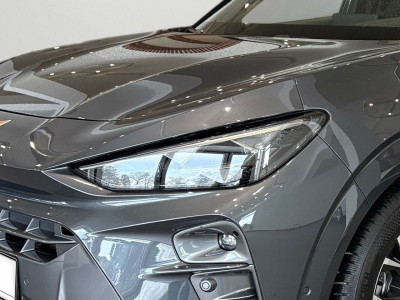 Cupra Terramar Gebrauchtwagen