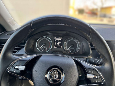 Skoda Kamiq Gebrauchtwagen