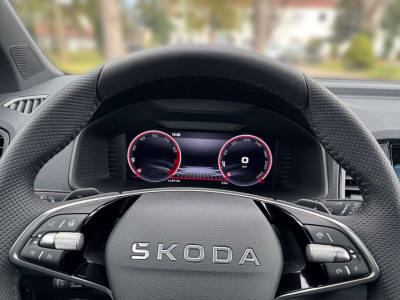 Skoda Karoq Gebrauchtwagen