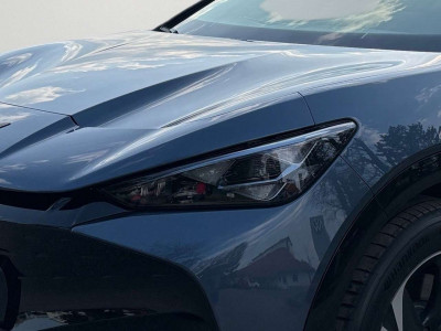 Cupra Tavascan Gebrauchtwagen