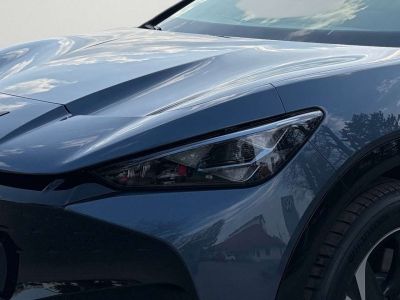 Cupra Tavascan Gebrauchtwagen Cupra Tavascan Gebrauchtwagen