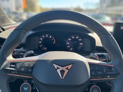 Cupra Terramar Gebrauchtwagen