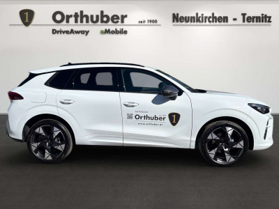 Cupra Terramar Gebrauchtwagen