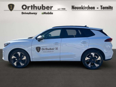 Cupra Terramar Gebrauchtwagen