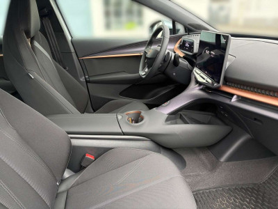 Cupra Tavascan Gebrauchtwagen