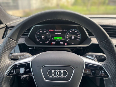 Audi e-tron Gebrauchtwagen