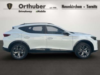 Cupra Formentor Gebrauchtwagen Cupra Formentor Gebrauchtwagen
