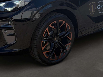 Cupra Terramar Gebrauchtwagen Cupra Terramar Gebrauchtwagen
