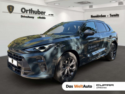 Cupra Terramar Gebrauchtwagen Cupra Terramar Gebrauchtwagen
