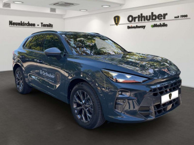 Cupra Terramar Gebrauchtwagen Cupra Terramar Gebrauchtwagen