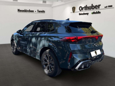 Cupra Terramar Gebrauchtwagen Cupra Terramar Gebrauchtwagen