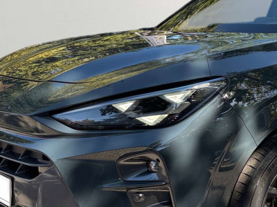 Cupra Terramar Gebrauchtwagen Cupra Terramar Gebrauchtwagen
