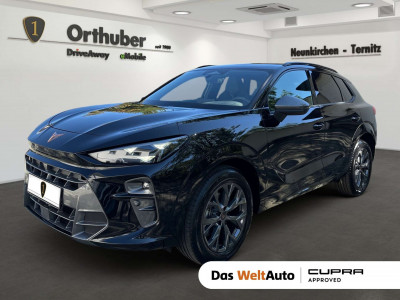 Cupra Terramar Gebrauchtwagen