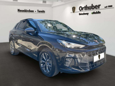 Cupra Terramar Gebrauchtwagen
