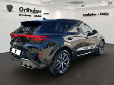 Cupra Terramar Gebrauchtwagen