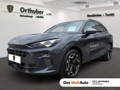 Cupra Terramar Gebrauchtwagen Cupra Terramar Gebrauchtwagen