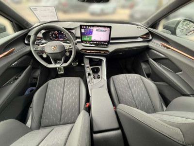 Cupra Terramar Gebrauchtwagen Cupra Terramar Gebrauchtwagen