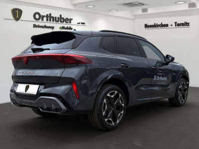 Cupra Terramar Gebrauchtwagen Cupra Terramar Gebrauchtwagen