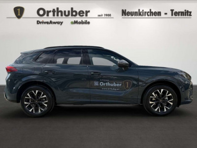 Cupra Terramar Gebrauchtwagen Cupra Terramar Gebrauchtwagen