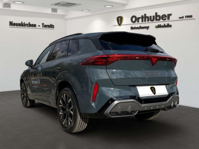 Cupra Terramar Gebrauchtwagen Cupra Terramar Gebrauchtwagen