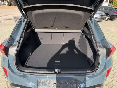 Cupra Terramar Gebrauchtwagen Cupra Terramar Gebrauchtwagen