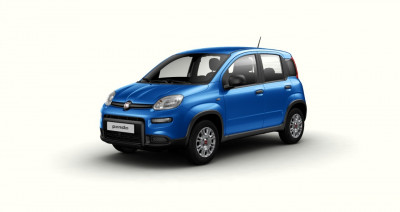 Fiat Panda Gebrauchtwagen