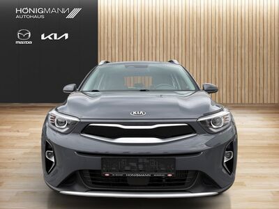 KIA Stonic Gebrauchtwagen