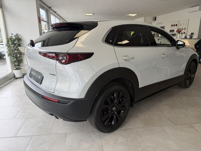 Mazda CX-30 Tageszulassung