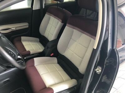 Citroën C4 Cactus Gebrauchtwagen