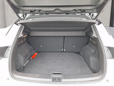 Renault Austral Vorführwagen