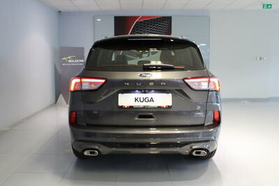 Ford Kuga Vorführwagen