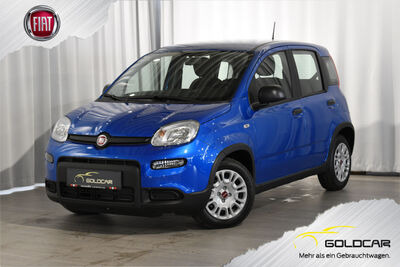 Fiat Panda Gebrauchtwagen