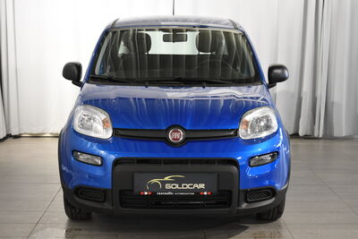 Fiat Panda Gebrauchtwagen