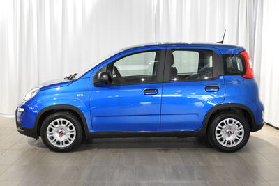 Fiat Panda Gebrauchtwagen