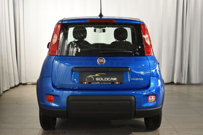 Fiat Panda Gebrauchtwagen